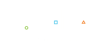 Digitalise logo white